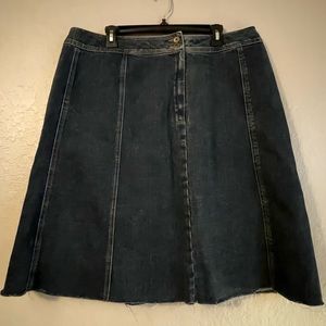Panel denim Aline a skirt.